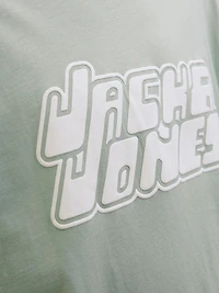Standard Fit Crew neck T-Shirt | Jack & Jones