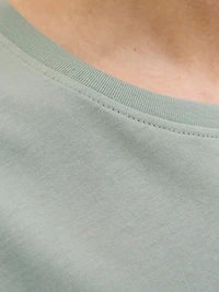 Standard Fit Crew neck T-Shirt | Jack & Jones