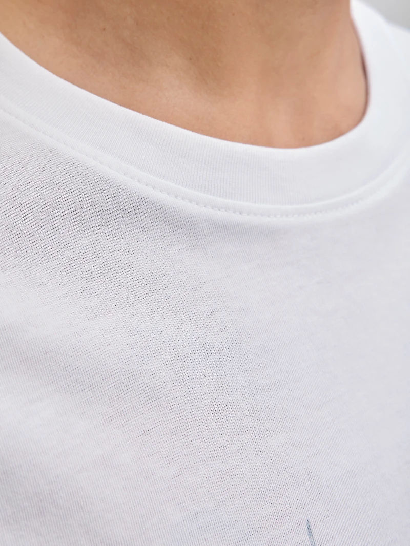 Regular Fit Long Sleeve T-Shirt | Jack & Jones