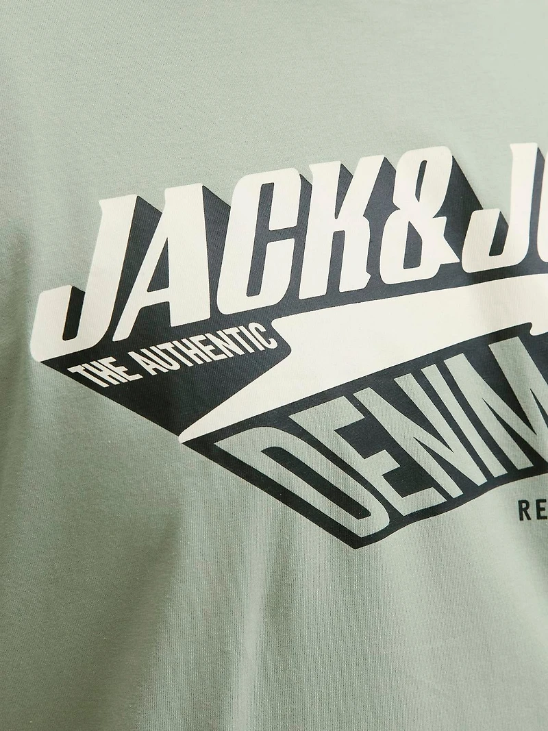 Standard Fit T-Shirt | Jack & Jones