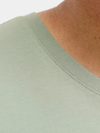 Standard Fit T-Shirt | Jack & Jones