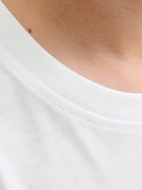 Regular Fit T-Shirt | Jack & Jones