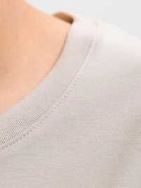 Regular Fit T-Shirt | Jack & Jones