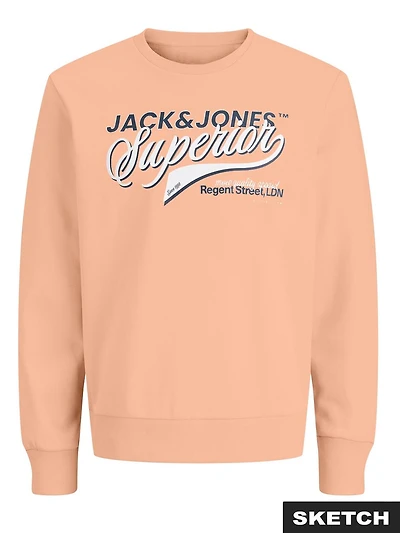 Chandail ouaté Coupe régulière | Jack & Jones