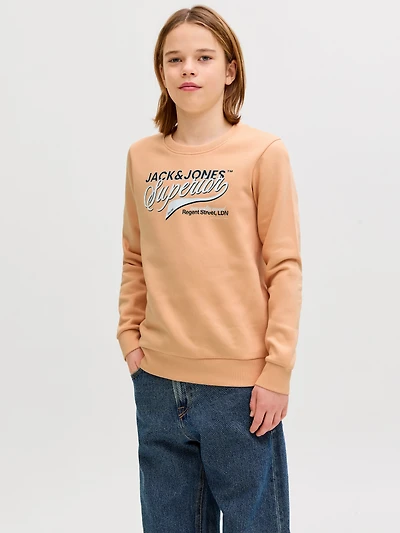 Regular Fit Sweatshirt | Jack & Jones