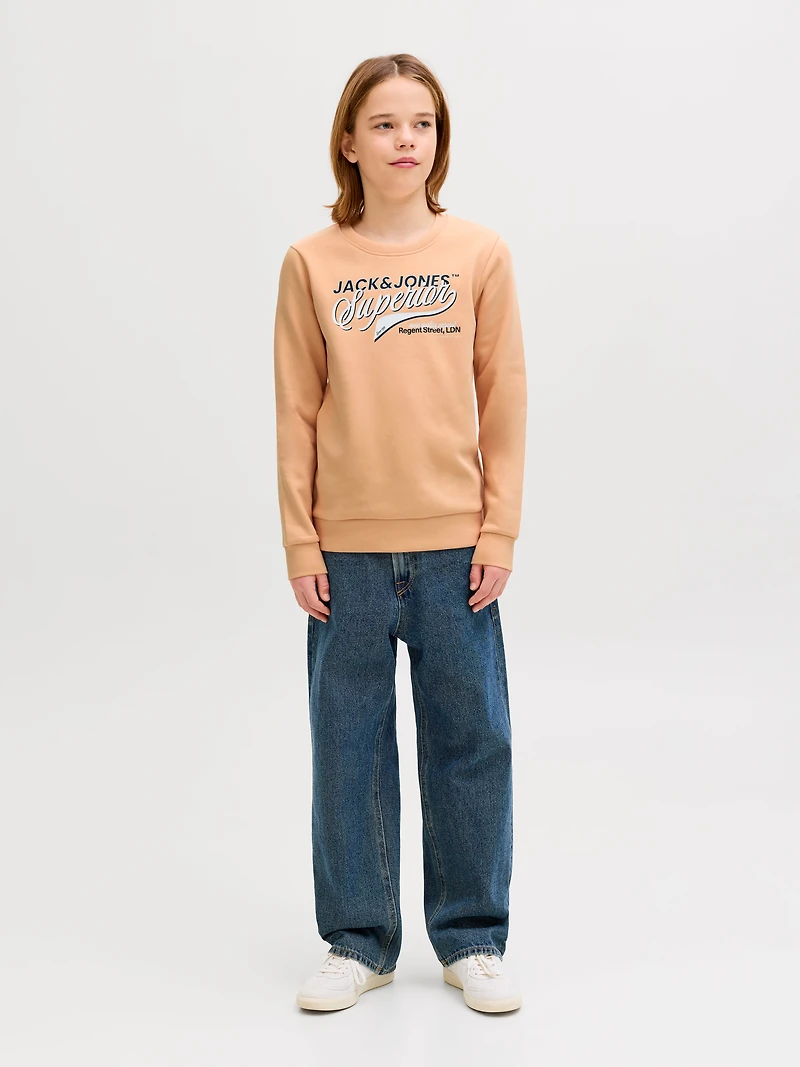 Regular Fit Sweatshirt | Jack & Jones