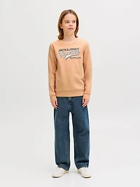 Regular Fit Sweatshirt | Jack & Jones