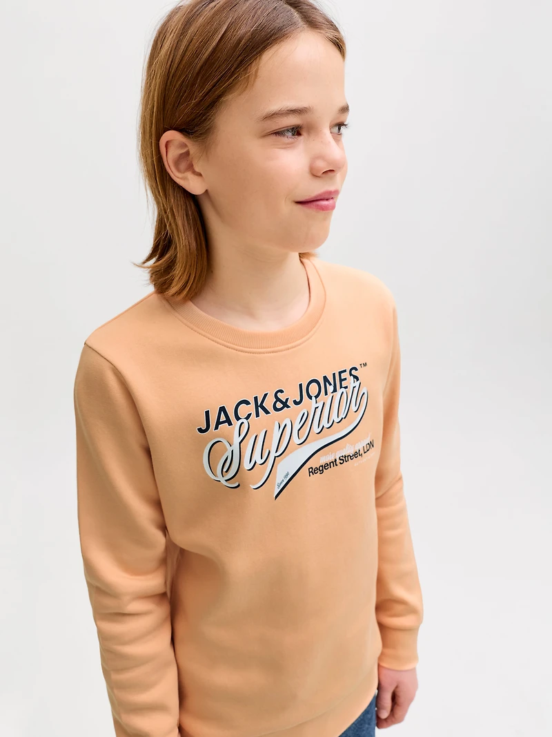 Regular Fit Sweatshirt | Jack & Jones