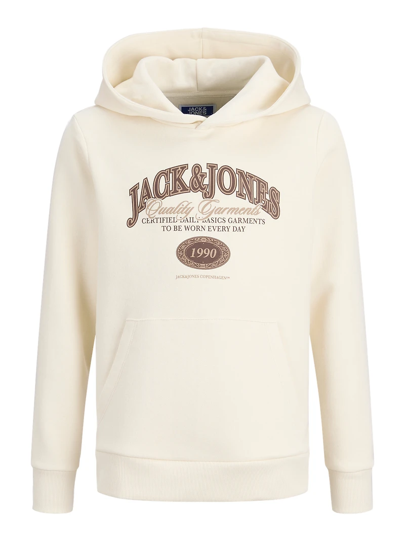 Chandail ouaté à capuchon Coupe régulière | Jack & Jones
