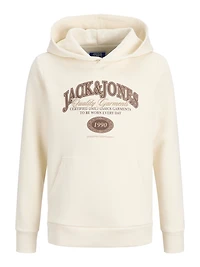 Chandail ouaté à capuchon Coupe régulière | Jack & Jones