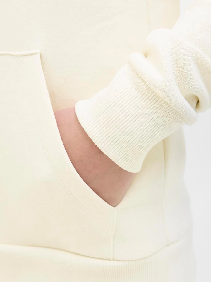 Chandail ouaté à capuchon Coupe régulière | Jack & Jones