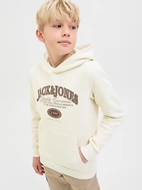Chandail ouaté à capuchon Coupe régulière | Jack & Jones
