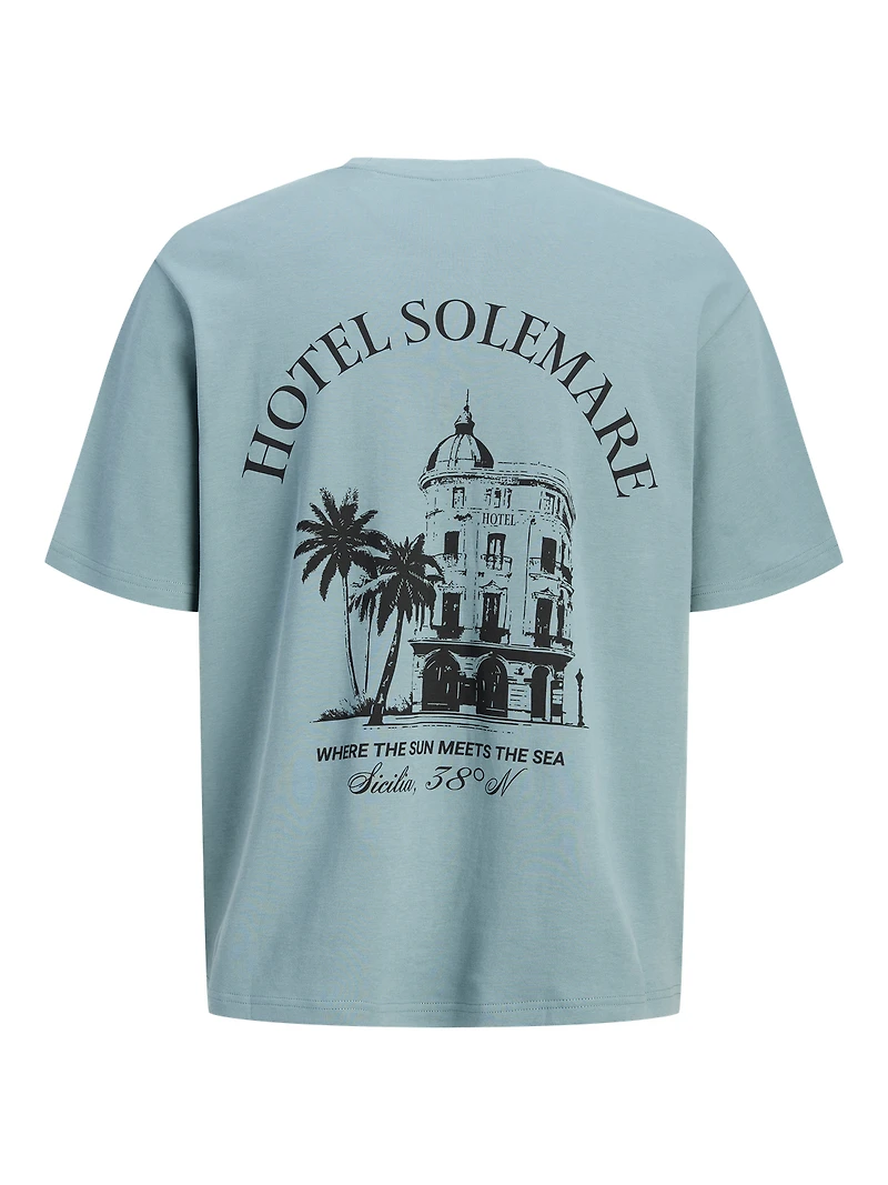 Regular Fit T-Shirt | Jack & Jones