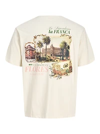 Standard Fit Crew neck Plus Set sleeves T-Shirt | Jack & Jones®