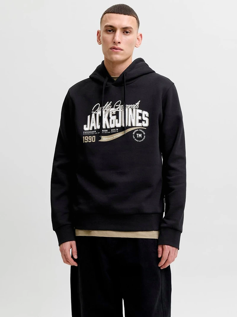 Chandails ouatés Coupe régulière Chandail ouaté à capuchon Manches montées | Jack & Jones
