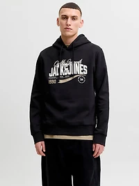 Chandails ouatés Coupe régulière Chandail ouaté à capuchon Manches montées | Jack & Jones