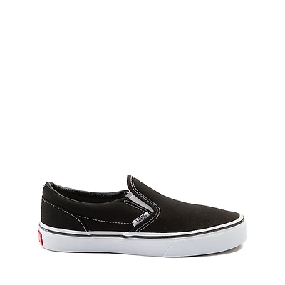 Vans Slip-On Skate Shoe