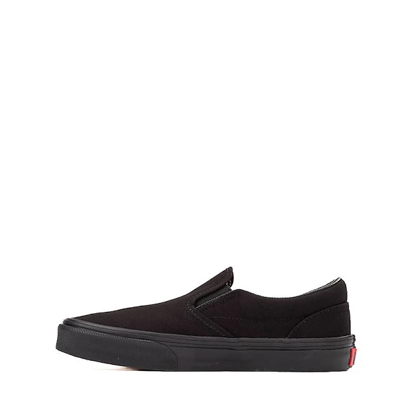 Vans Slip-On Skate Shoe
