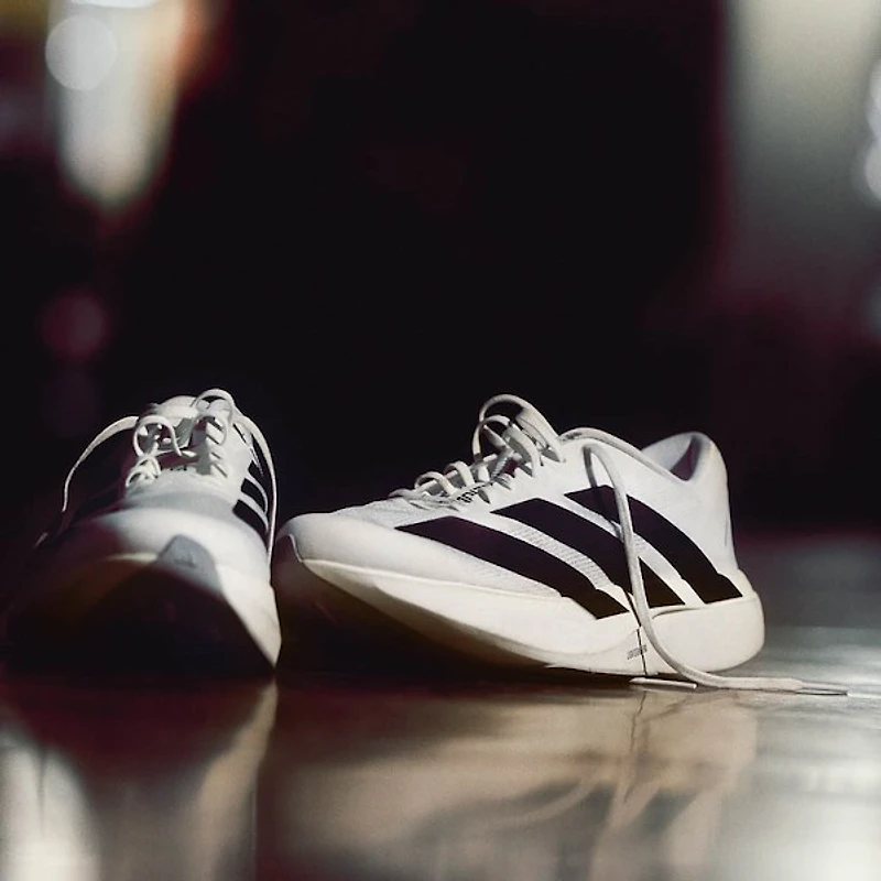 Womens adidas Adizero EVO SL Athletic Shoe - Cloud White / Core Black