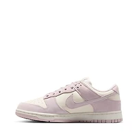 Womens Nike Dunk Low Athletic Shoe