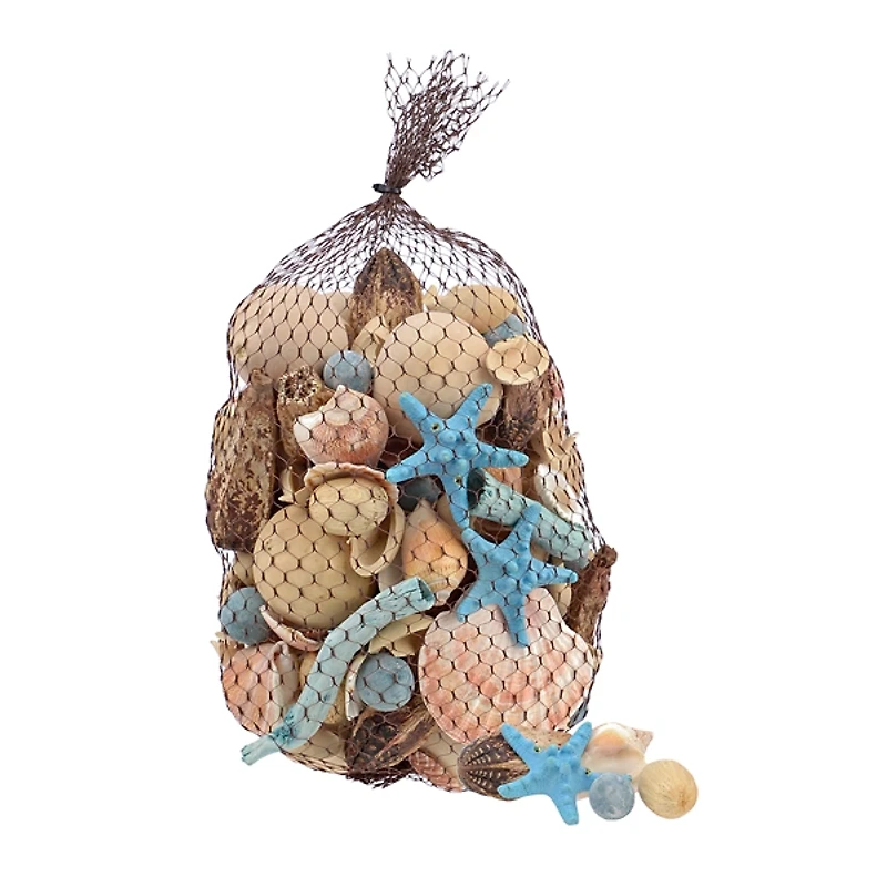 Blue Seashell Filler