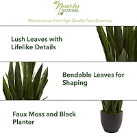 Sansevieria Floor Plant in Black Planter