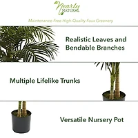 Golden Cane Palm Silk Tree, 6.5 ft.