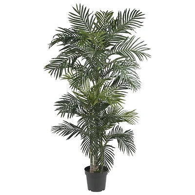 Golden Cane Palm Silk Tree, 6.5 ft.