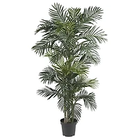 Golden Cane Palm Silk Tree, 6.5 ft.