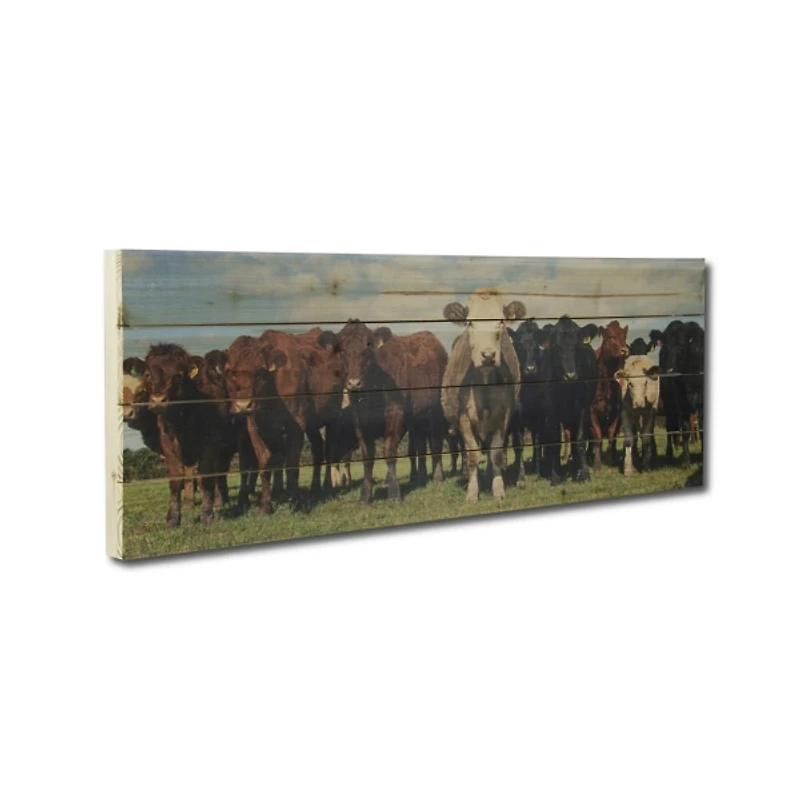 Cow Herd Wood Panel Art Print