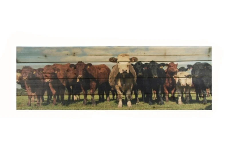 Cow Herd Wood Panel Art Print