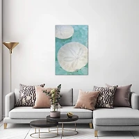 Sand Dollar and Seaglass Canvas Art Print