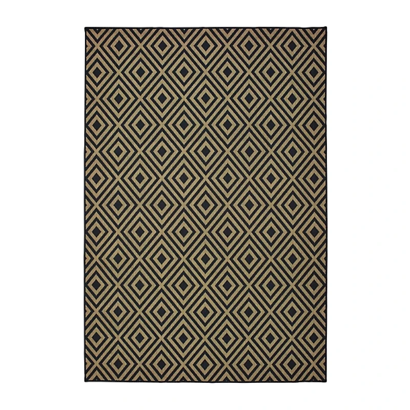 Black Haydn Outdoor Area Rug, 5x7