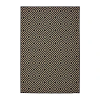 Black Haydn Outdoor Area Rug, 5x7