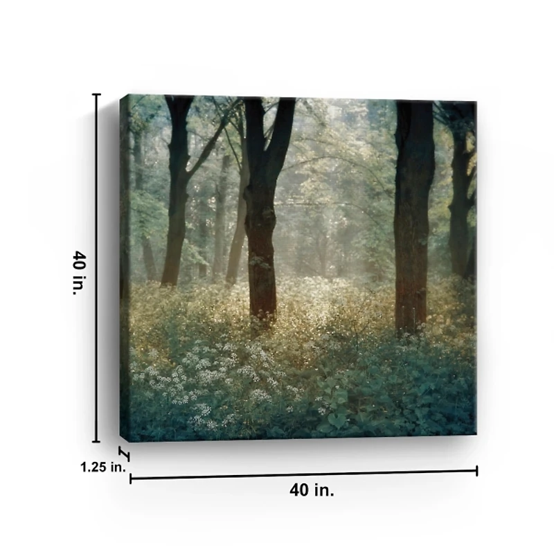 Morning in the Forest Giclee Canvas Art Print