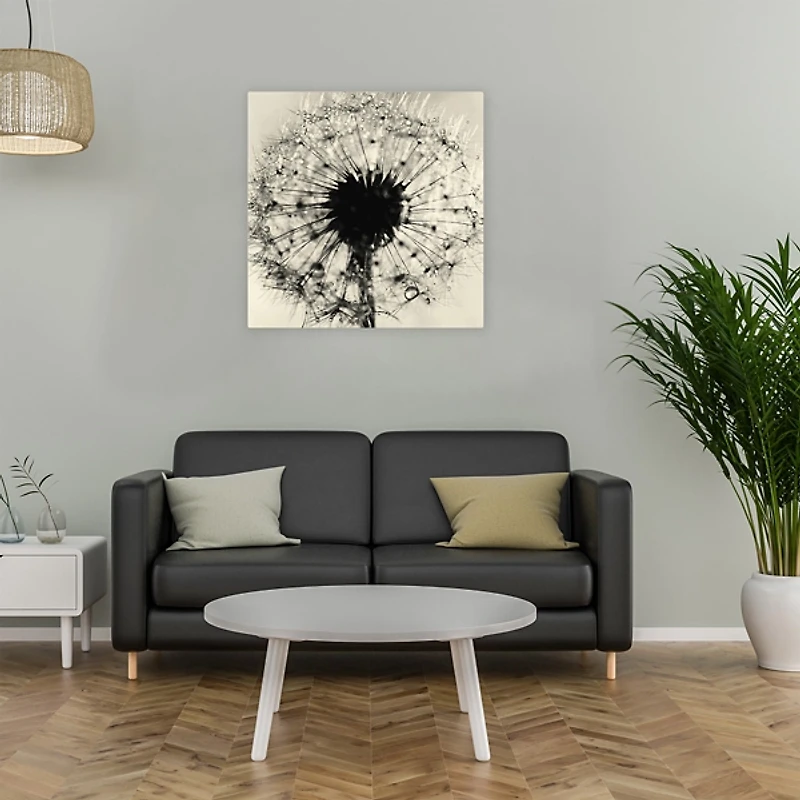 Black and White Dandelion Giclee Canvas Art Print