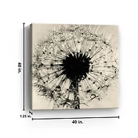 Black and White Dandelion Giclee Canvas Art Print
