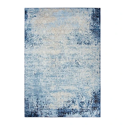 Blue Edward Overdyed Area Rug, 8x10