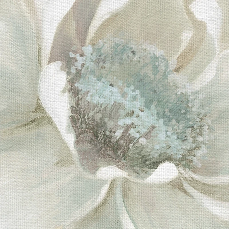 Winter Blooms I and II Canvas Art Prints, Set of 2