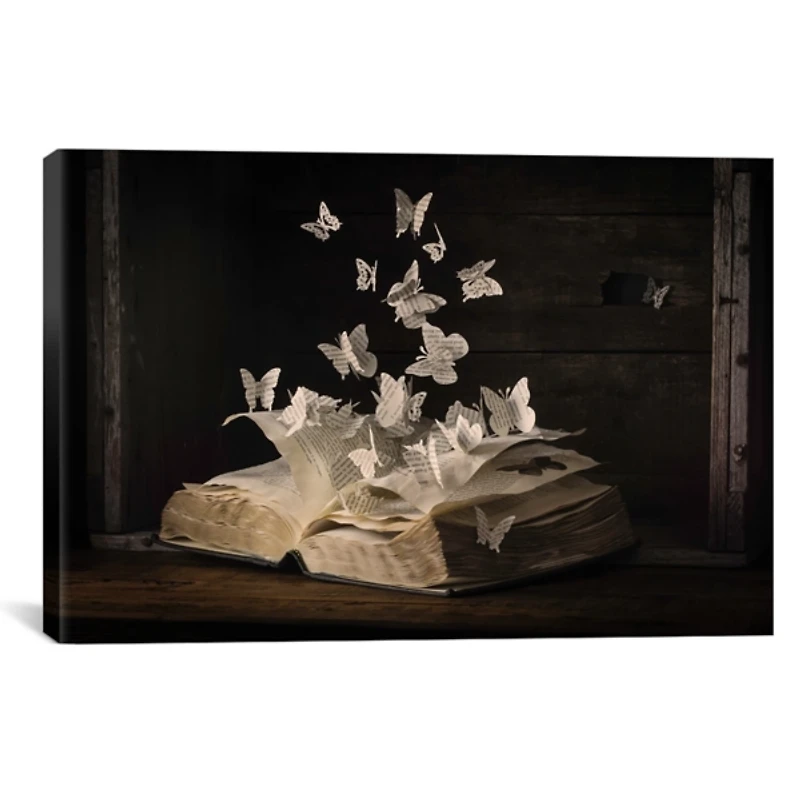 Lepidopterology Canvas Art Print