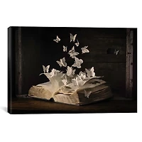 Lepidopterology Canvas Art Print