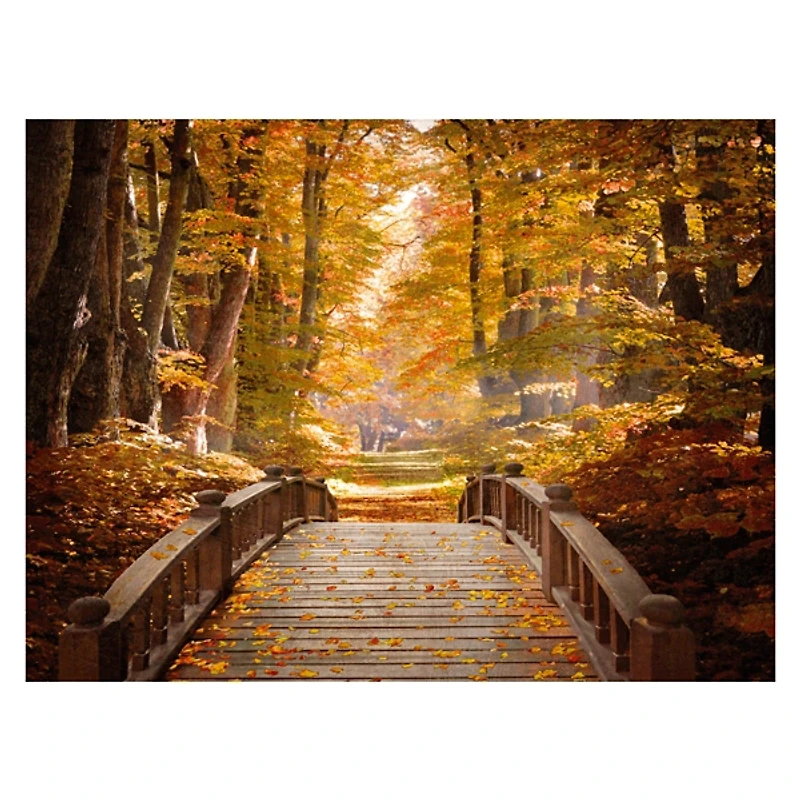 Forest Escape Giclee Canvas Art Print