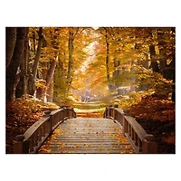 Forest Escape Giclee Canvas Art Print