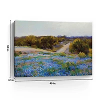Late Afternoon Bluebonnets Giclee Canvas Art Print