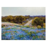 Late Afternoon Bluebonnets Giclee Canvas Art Print