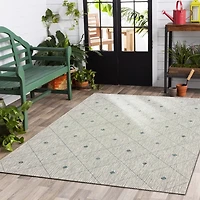 Solitaire Sun Shower Outdoor Area Rug, 5x8