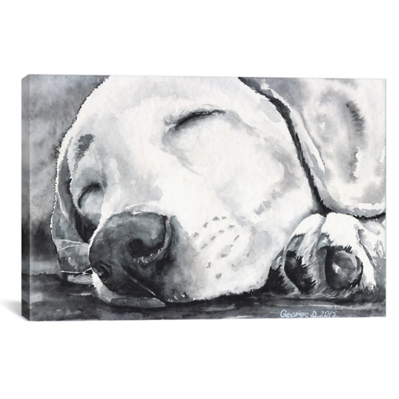 Happy Dreams Dog Giclee Canvas Art Print, 26x18