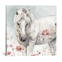 Wild Horses V Canvas Art Print