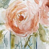 Cabbage Roses I & II Canvas Art Prints, Set of 2