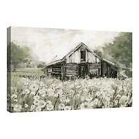 Dandelion Barn Canvas Art Print
